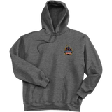 Foundry Super Heavyweight Fleece Hoodie